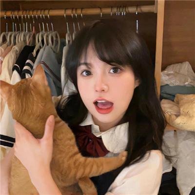 夜鹰